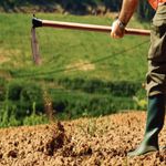 Loja de Materiais de Construção | Obramax Atacado e Varejo
